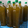cold-pressed olive oil